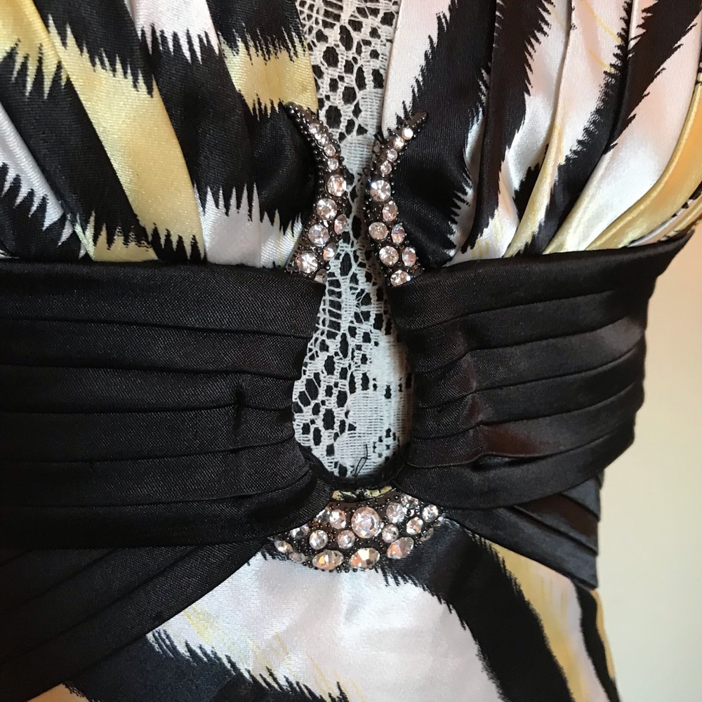 Zebra Pattern Gown - image 8